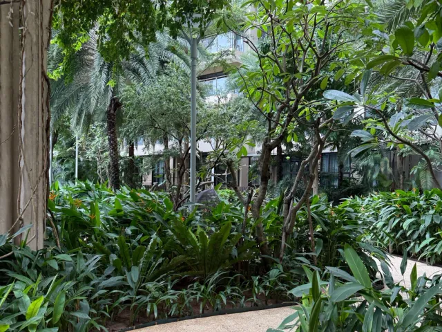 Landscape Design & Installation in Port St. Lucie, FL