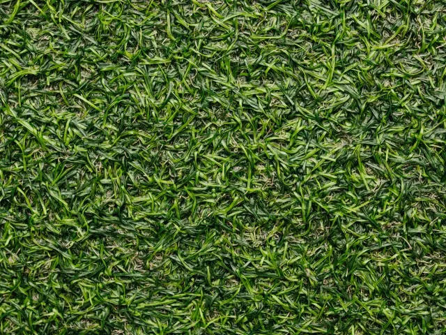 Sod Installation in Port St. Lucie, FL